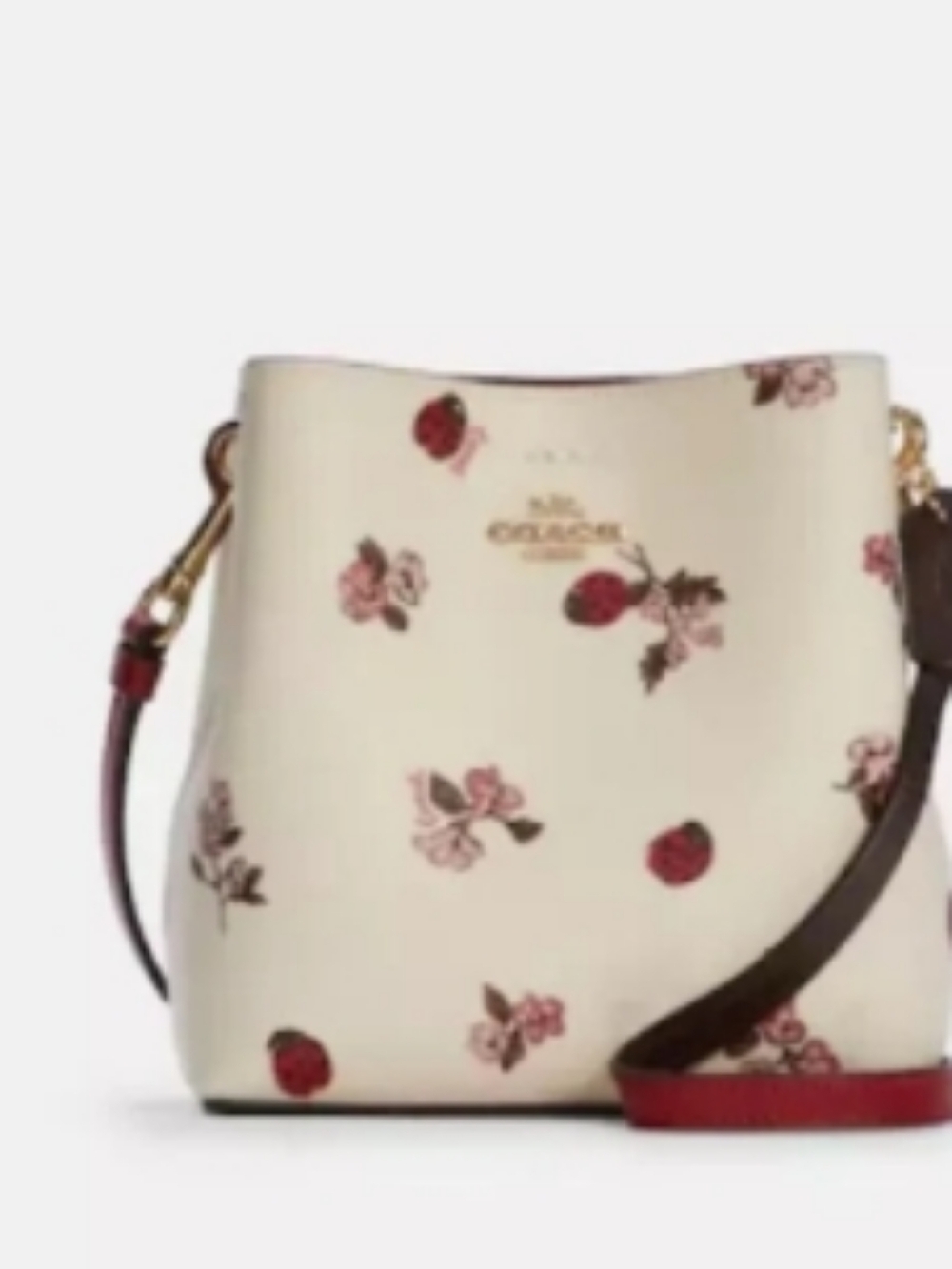 BNWT Coach mini town bucket bag with ladybug floral print crossbody bag shoulder - Picture 10 of 10